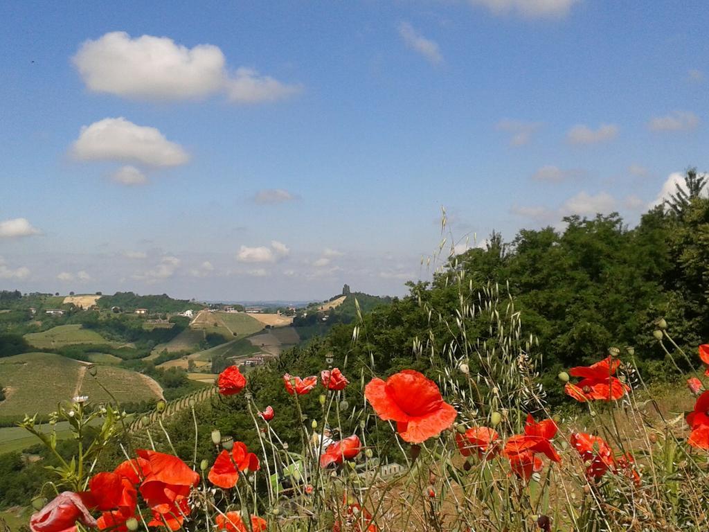 Ca D' Rot - Casa Ratti Vendégház Vinchio Kültér fotó