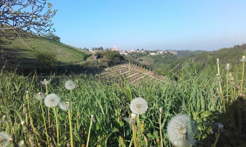 Ca D' Rot - Casa Ratti Vendégház Vinchio Kültér fotó