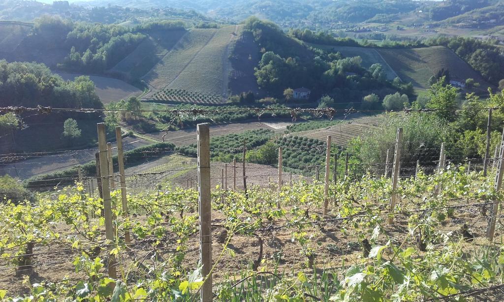 Ca D' Rot - Casa Ratti Vendégház Vinchio Kültér fotó